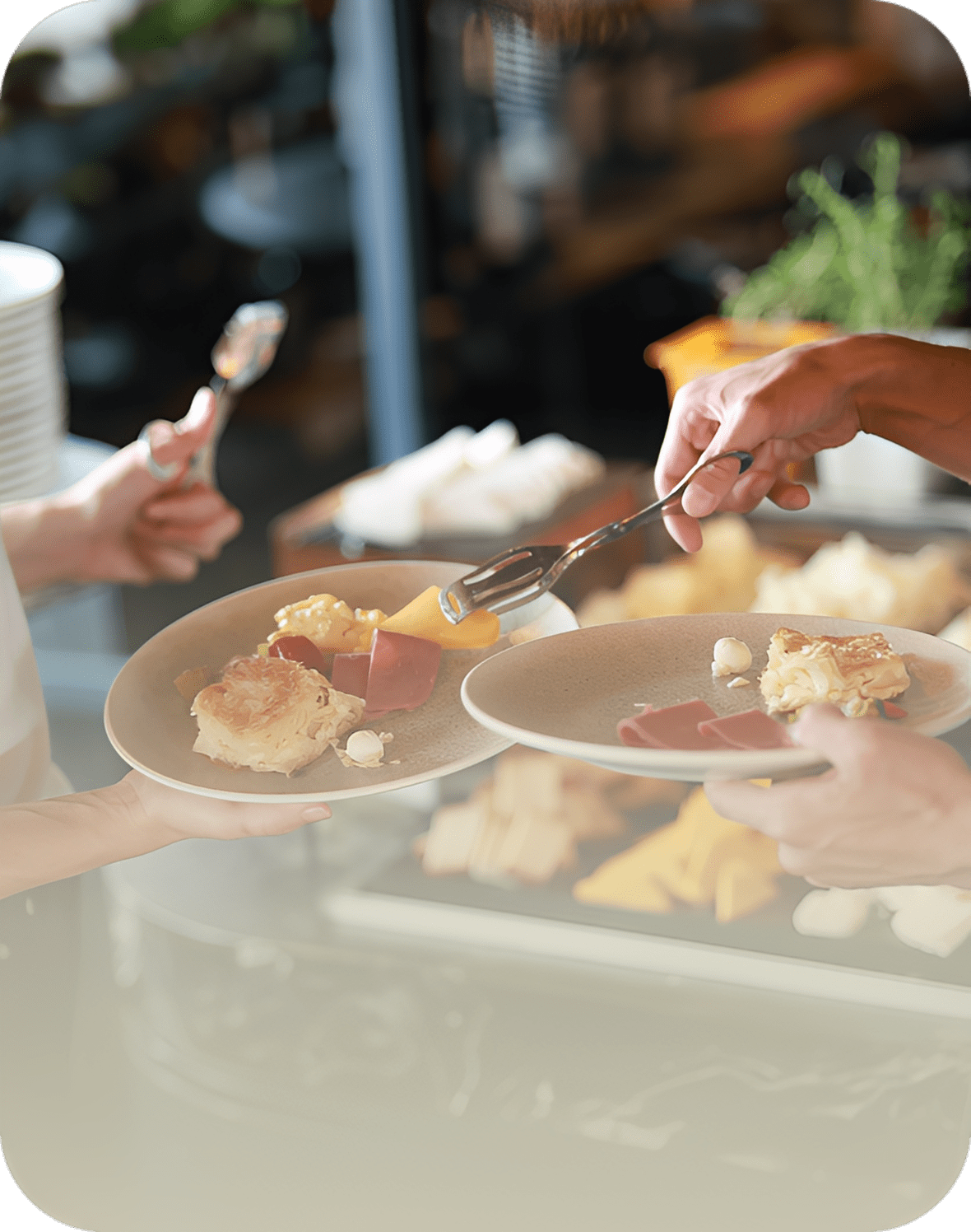Dining plates with assorted cheeses and meats.